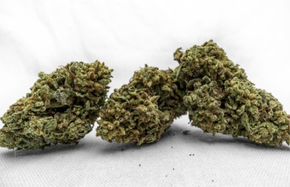 Marijuana Sapphire Farms San Fernando Valley Cookies for Sale Lake